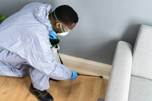 Best Fumigation Services  in Mogul, NV